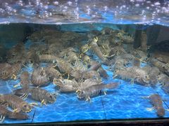 -都市阳光海鲜城(青山湖店)