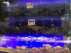 -喜碧海鲜·二十年本土海鲜老字号(上排店)