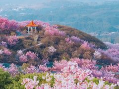 -鼓岭旅游度假区