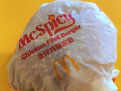 -麦当劳(保定裕华路店)