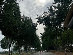 -汉长安城未央宫国家考古遗址公园