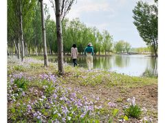 -东郊湿地公园