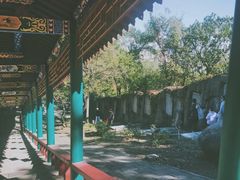 -高尔山公园