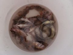 -东极岛景区-东海第一哨灯塔