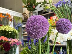 -FEI FEI FLOWER鲜花店·气球派对·宝宝宴布置(虹口德必运动Loft店)