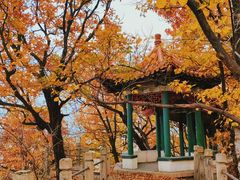-萨尔浒风景区