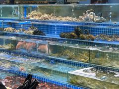 -渔人湾码头海鲜市场负二楼