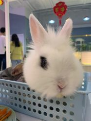 -Moni星球萌宠·小马宝莉·灵蛇·高端高阶全萌宠互动体验俱乐部(红豆国际广场店)