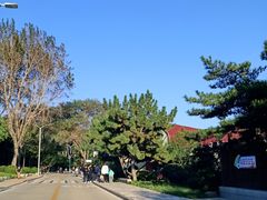 -老虎石海上公园