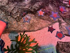 -沈阳海洋探索中心