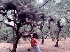 -北海金海湾红树林生态旅游区