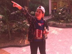 -陕西自然博物馆