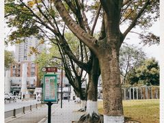 -四川大学(望江校区)