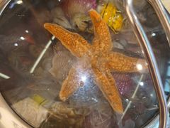 -船梆煮•蒸汽海鲜·炉火烤肉(五四广场店)