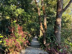 -广州市流溪河国家森林公园