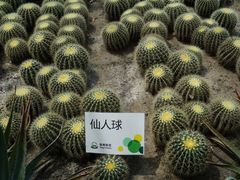 -上海多利农业发展有限公司