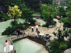 -吴淞炮台湾湿地森林公园烧烤区