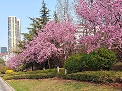 -迪卡侬(苗岭路店)