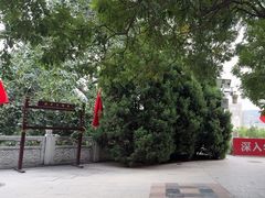 -白塔山公园