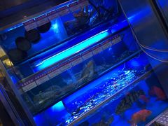 -協成海鮮火鍋(老店)