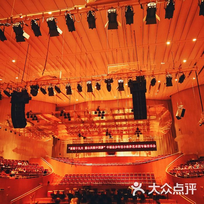 上海东方艺术中心舞台图片