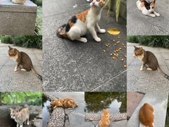 -晓港公园