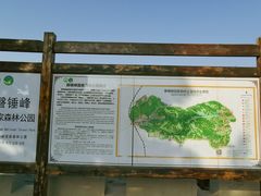 -磬锤峰森林公园