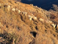 -灵山