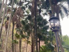 -华南国家植物园-售票处