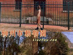 -柳州市动物园