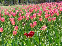 -长春公园(普阳街道)