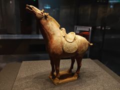 -陕西历史博物馆