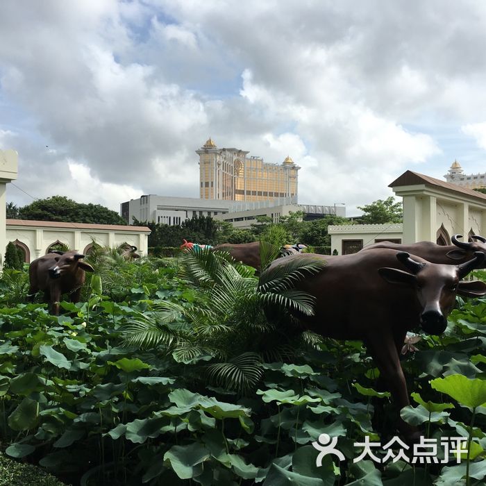 龙环葡韵人工湖湿地