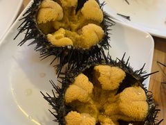 -海胆小馆(东北水饺·春柳店)