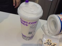 -一只酸奶牛(时代天街A馆店)