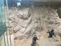 -徐州龟山景区
