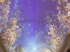 -武汉规划展示馆