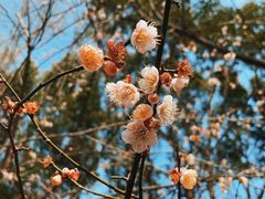 -同里国家湿地公园