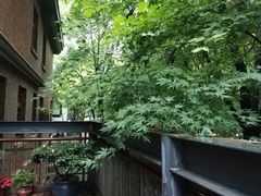 -芙蓉堂(武汉天地店)
