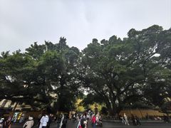 -东西巷