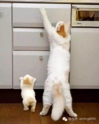 罗曼司婚纱摄影会馆-罗曼司婚纱摄影会馆(瀚威城市中心店)