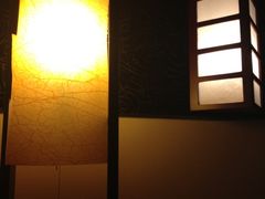 很有意境的灯-北京九华山庄会展酒店