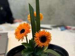 -潇湘府•湘菜领军品牌(望京店)