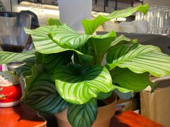 -路易时光(蕴川路店)