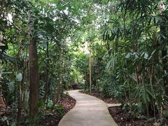 -武吉知马自然保护区