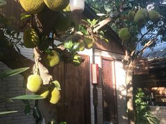 -绿雅居原生态农庄(小涌店)