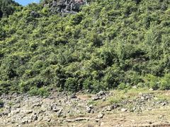 -神农溪纤夫文化旅游区