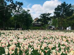 -长春公园(普阳街道)