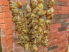 -堤角朱爹爹烧烤·武汉猪肉串(光谷金融港店)