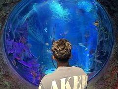 -沈阳海洋探索中心